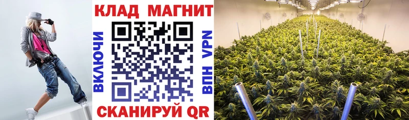 Где купить наркоту Таганрог АМФ  Alpha-PVP  Гашиш  Меф  Галлюциногенные грибы  КОКАИН 