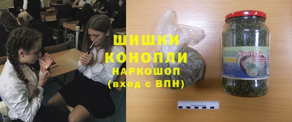 индика Абинск