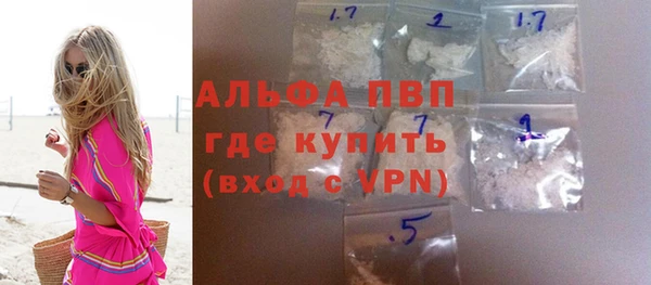 индика Абинск