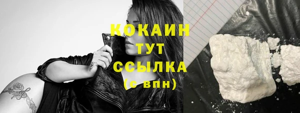индика Абинск