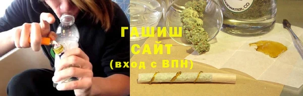 индика Абинск