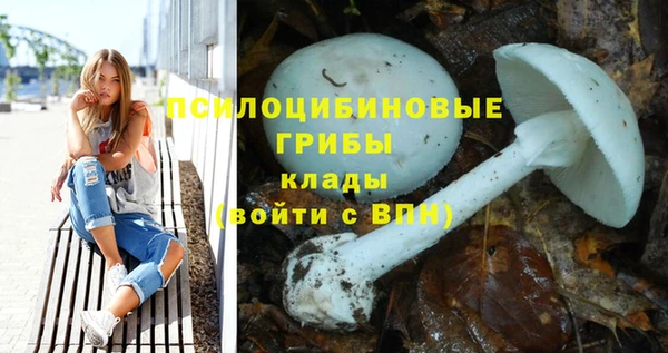 винт Абдулино