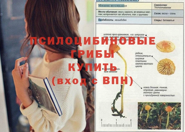 индика Абинск