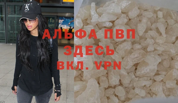 индика Абинск