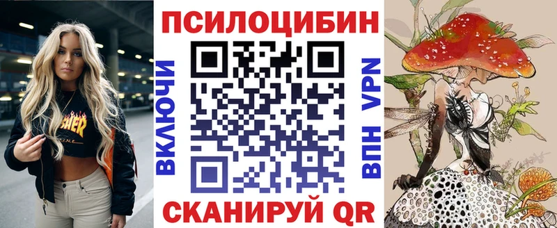 Галлюциногенные грибы Psilocybine cubensis  дарнет шоп  Таганрог 